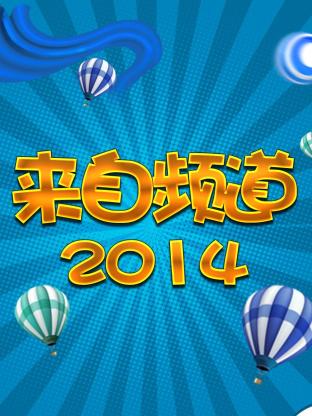 来自频道2014海报
