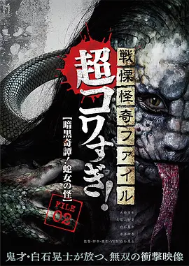 战栗怪奇：超可怕! FILE-02 暗黑奇谭！蛇女之怪[电影解说]海报