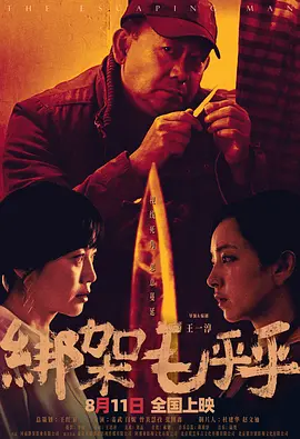 绑架毛乎乎海报