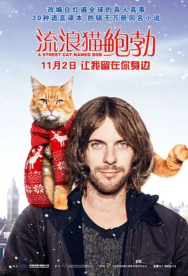 流浪猫鲍勃[电影解说]海报