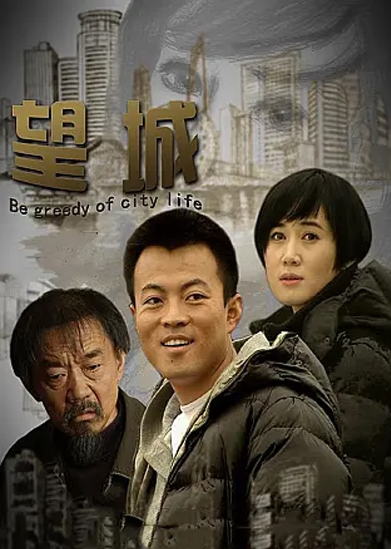 望城2011海报