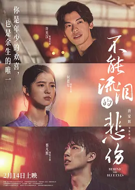 不能流泪的悲伤[电影解说]海报