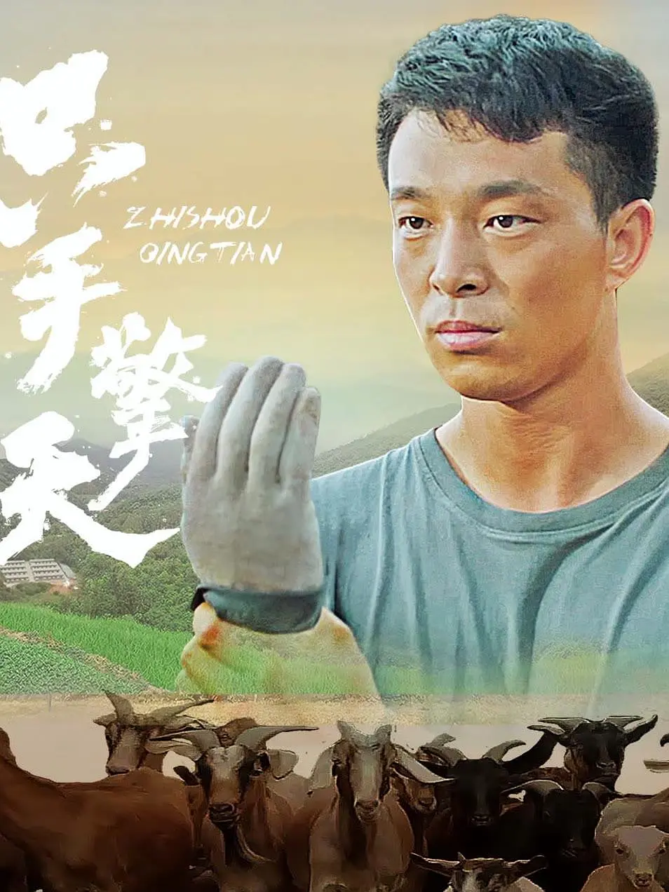 只手擎天海报
