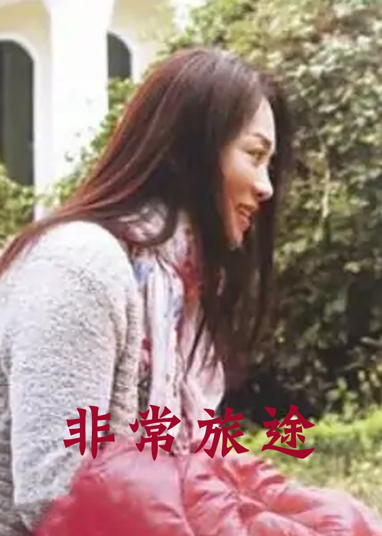 非常旅途海报
