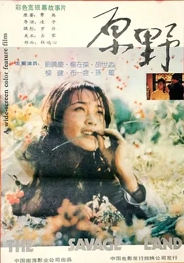 原野1981海报