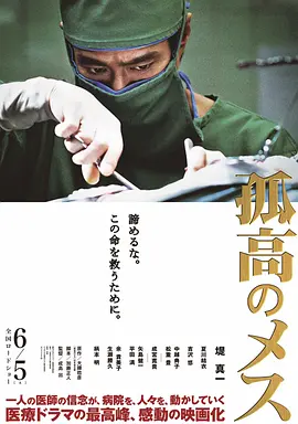 孤高的手术刀2010海报