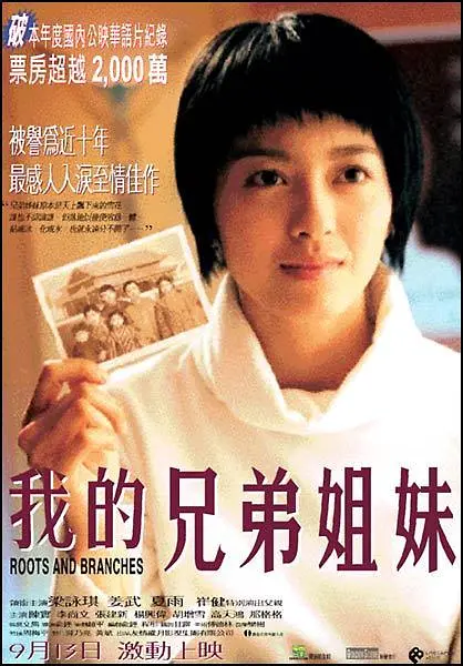 我的兄弟姐妹海报