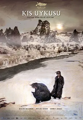 冬眠[电影解说]海报