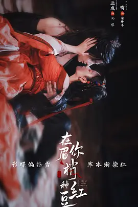 在你眉梢种红豆海报