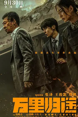 万里归途[电影解说]海报