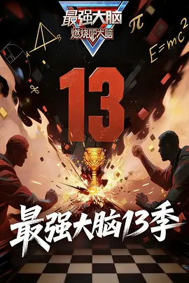 最强大脑第十三季海报