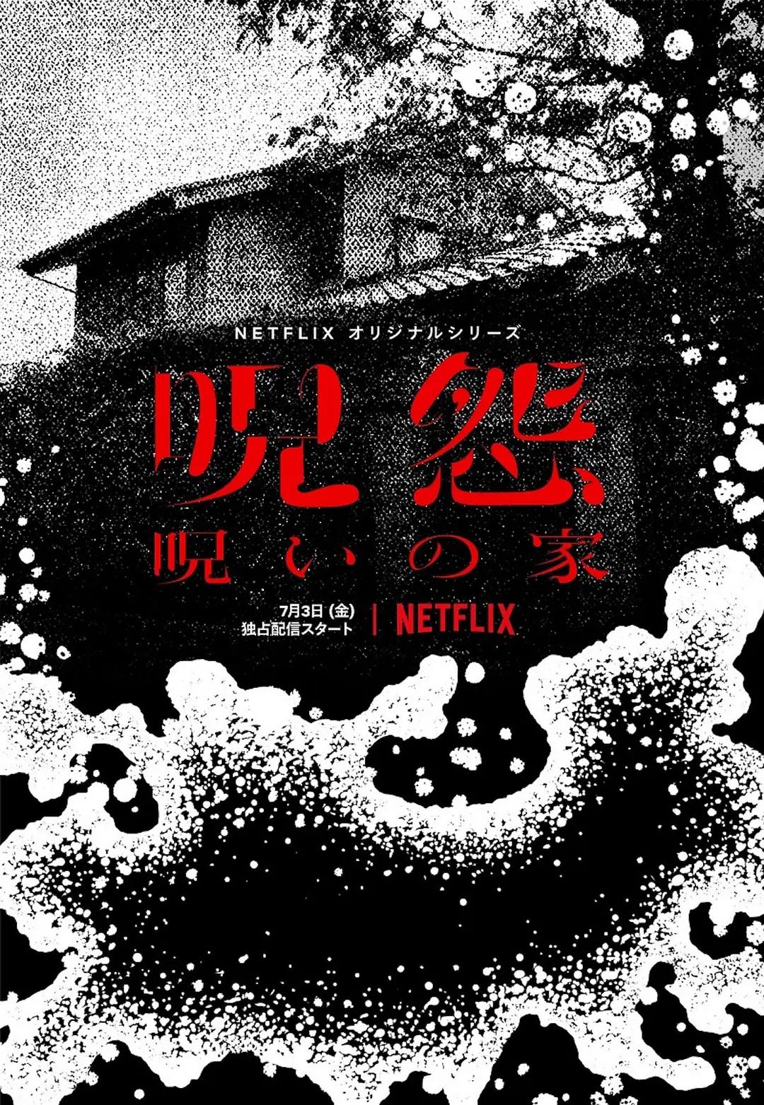 咒怨:诅咒之家海报