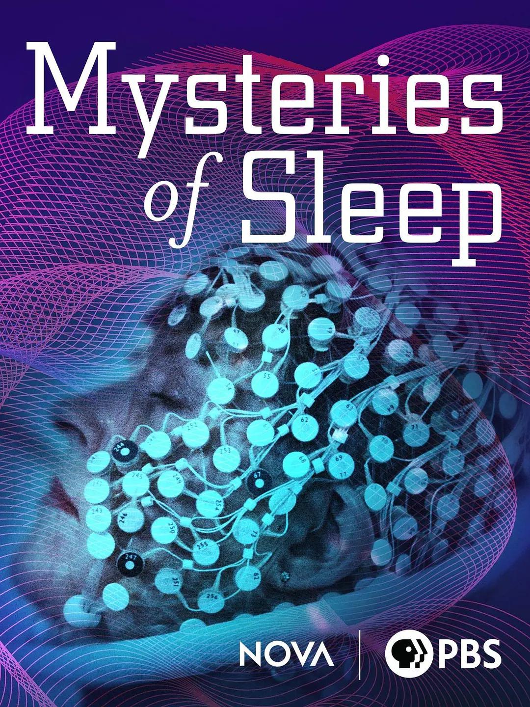 睡眠之谜海报