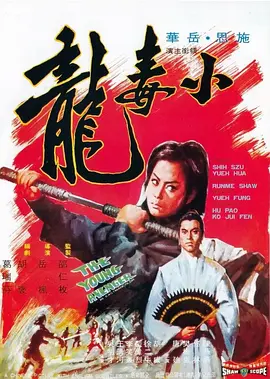 小毒龙[电影解说]海报