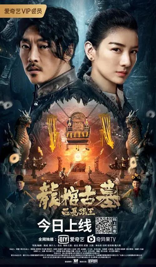 龙棺古墓:西夏狼王海报