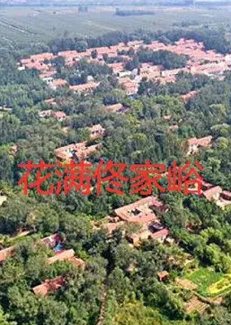 花满佟家峪海报