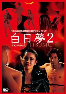 白日梦2海报