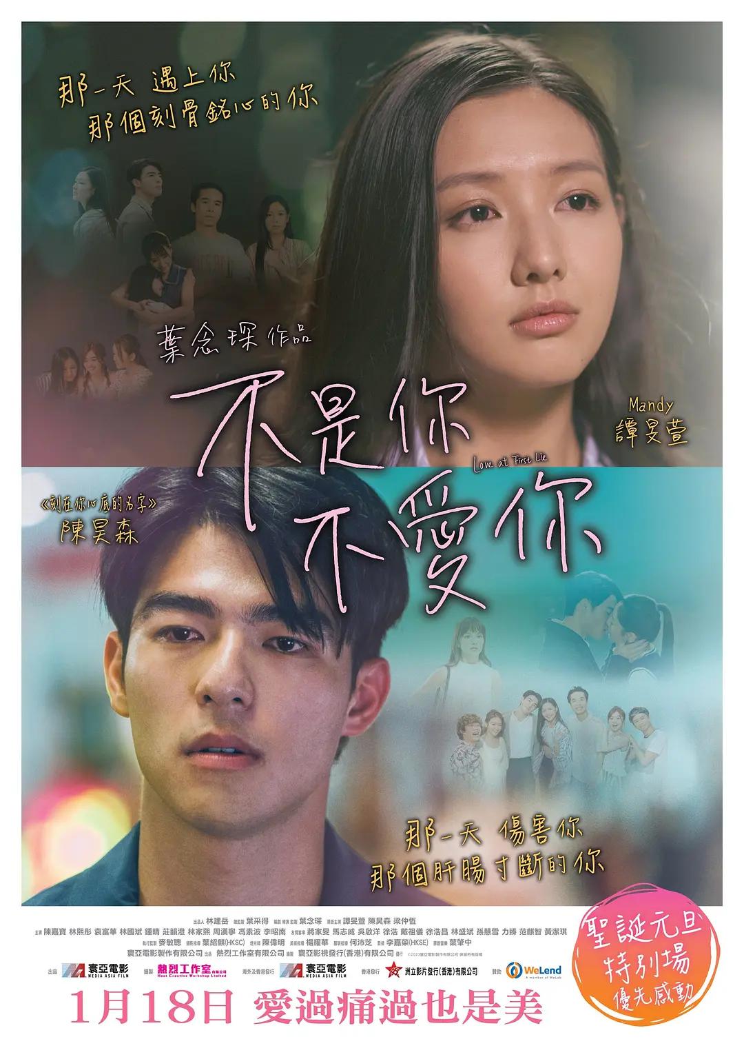不是你不爱你海报