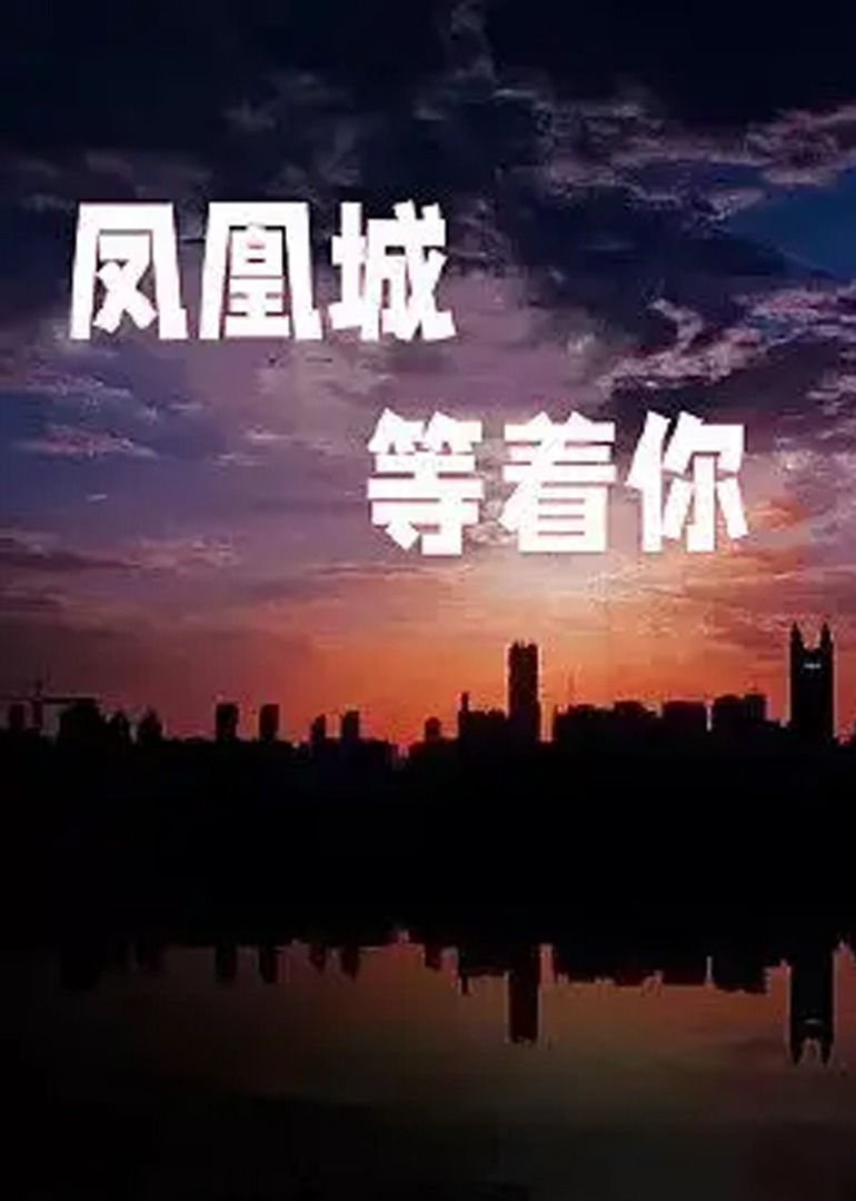凤凰城等着你海报