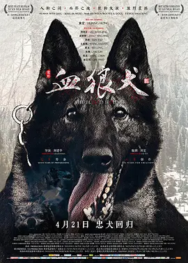 血狼犬[电影解说]海报
