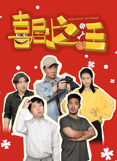 喜剧之汪海报