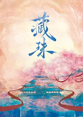 藏珠海报