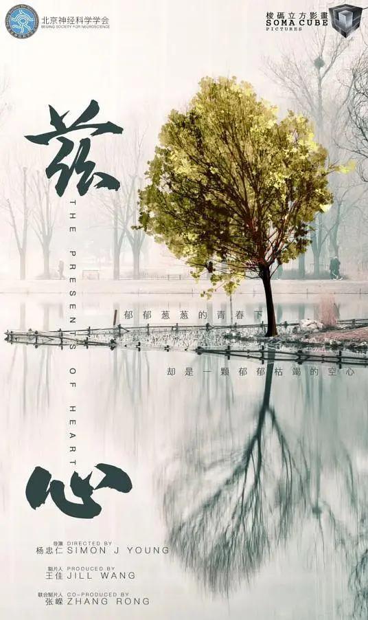 兹心海报