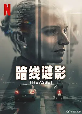 暗线谜影海报