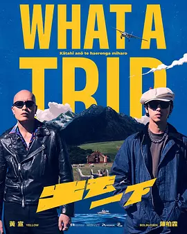 出去一下What A Trip海报