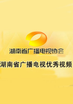 湖南省广播电视优秀视频海报