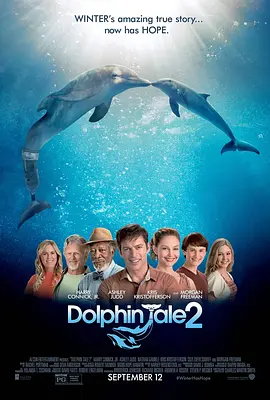 海豚的故事2[电影解说]海报