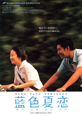 蓝色大门[电影解说]海报