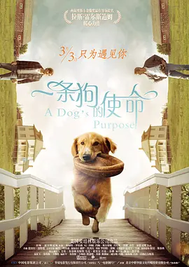 一条狗的使命[电影解说]海报
