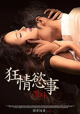 情事2014海报