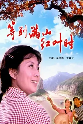 等到满山红叶时[电影解说]海报