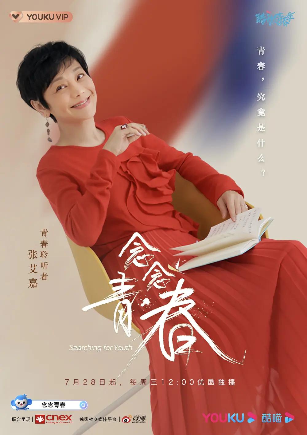 念念青春海报