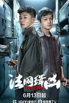 法网缉凶海报