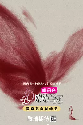 姐姐当家(加更版)海报