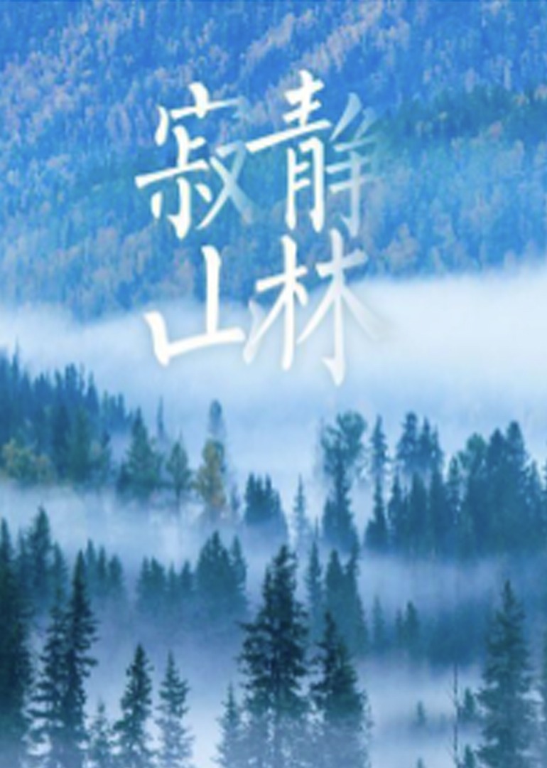 寂静山林海报