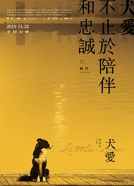 犬爱2019海报