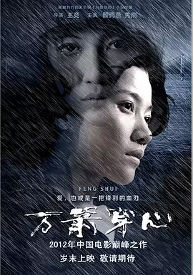 万箭穿心2012[电影解说]海报