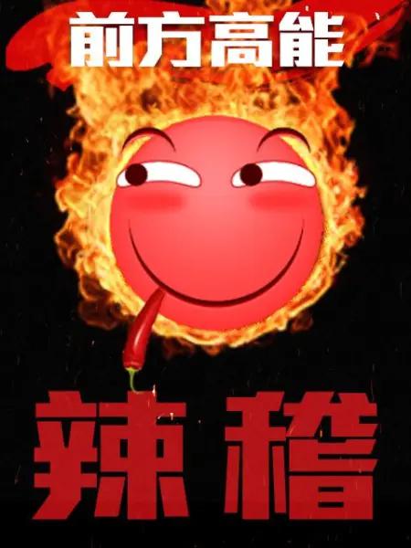 前方高能之辣稽海报