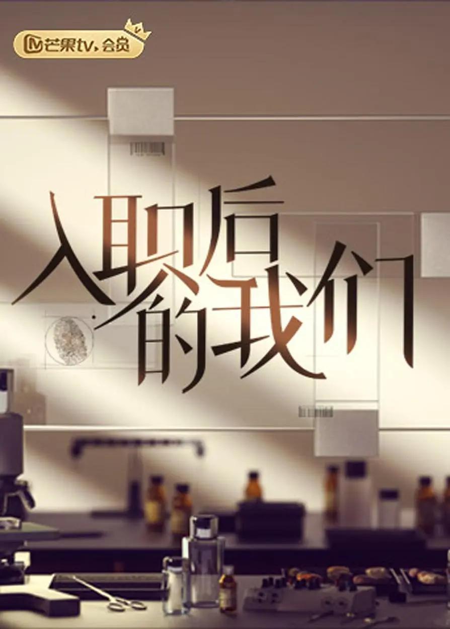 入职后的我们海报