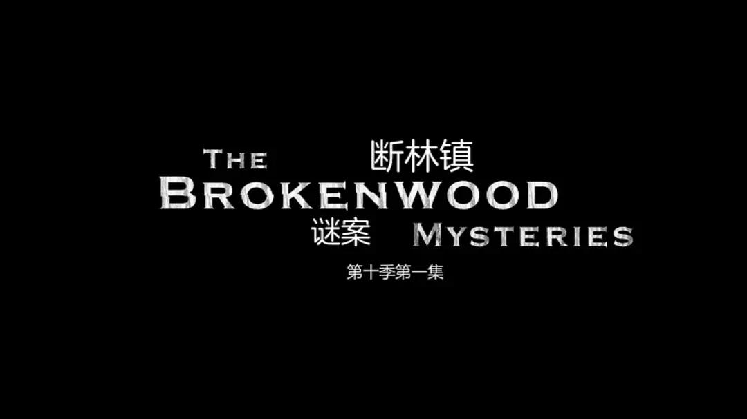 断林镇谜案第十季海报