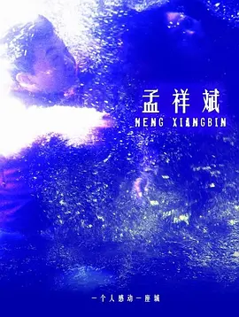 孟祥斌海报