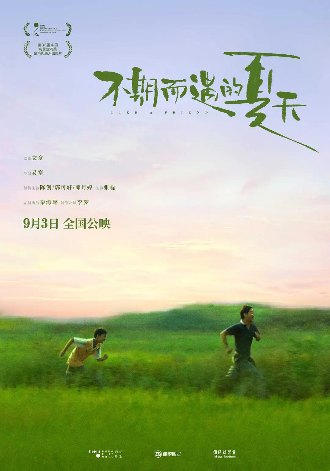不期而遇的夏天海报