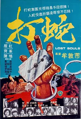 打蛇[电影解说]海报
