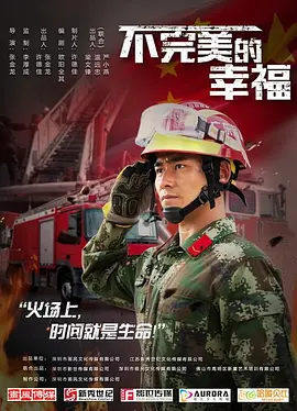 不完美的幸福海报