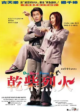 干柴烈火2002[电影解说]海报