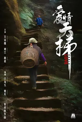爱情天梯[电影解说]海报